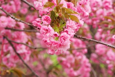 常州新北区2线下个人借款平台一站式服务，轻松解决资金难题