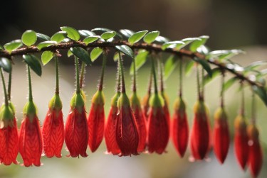 常州新北区2零用贷短借：轻松解决临时资金需求