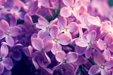 常州新北区2企业急用钱贷款攻略：快速融资解燃眉之急